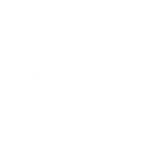 Ovejita