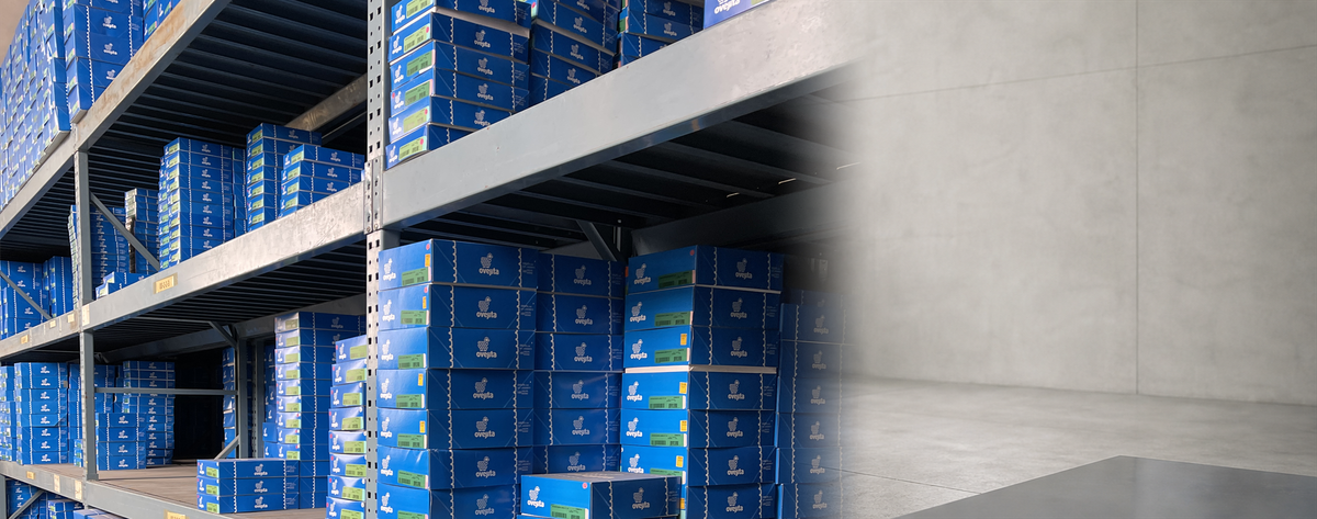 Cajas azules originales de Ovejita organizadas para envíos y entregas