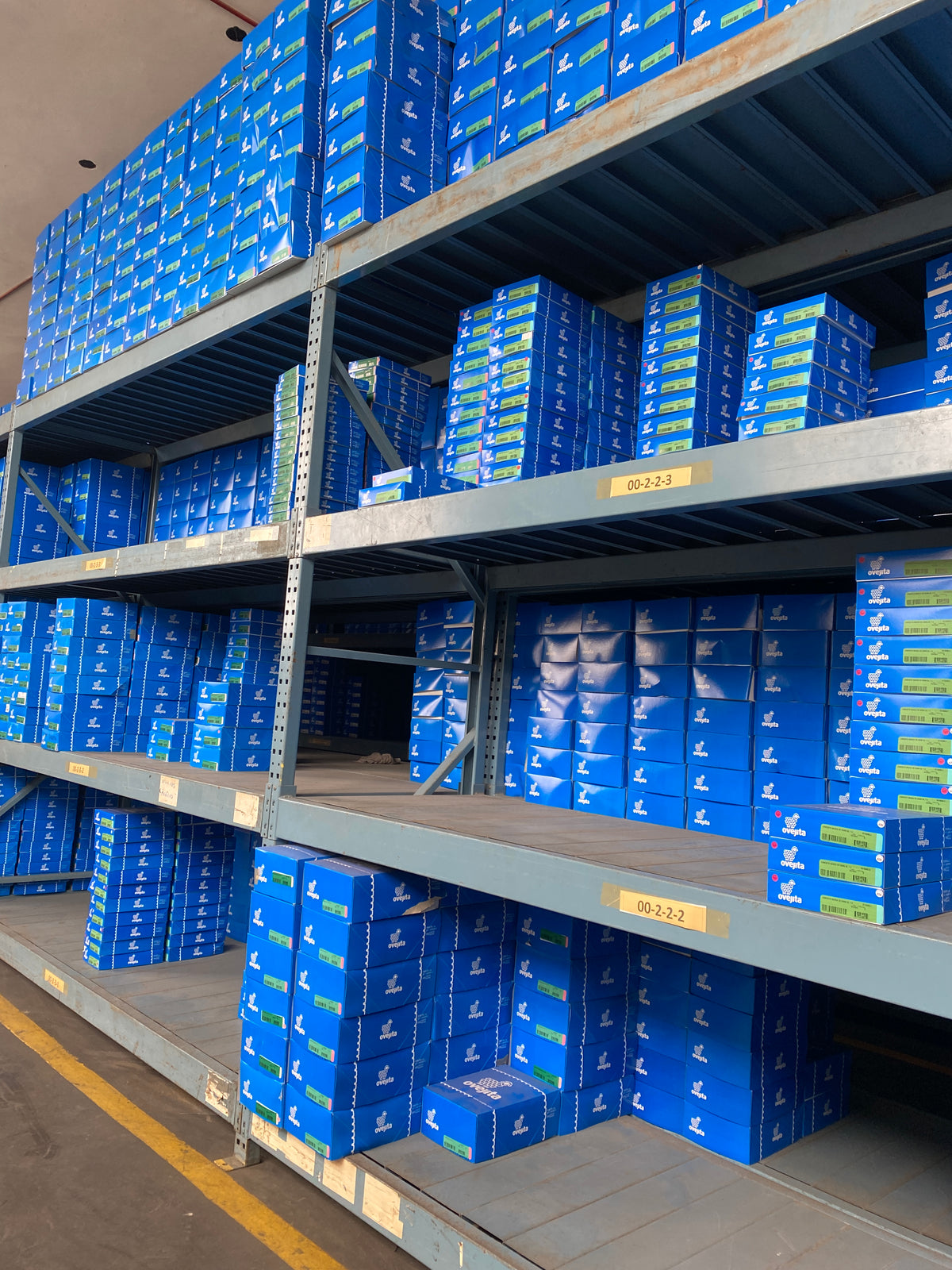 Mercancía Ovejita en sus cajas azules, lista para la venta.