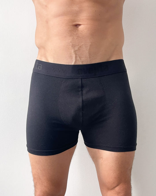 Interior Boxer Boston