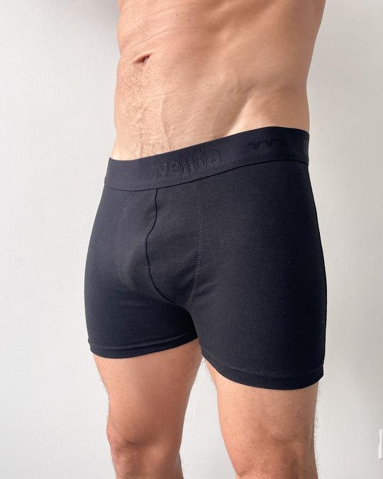 Interior Boxer Boston